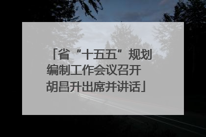 省“十五五”规划编制工作会议召开 胡昌升出席并讲话